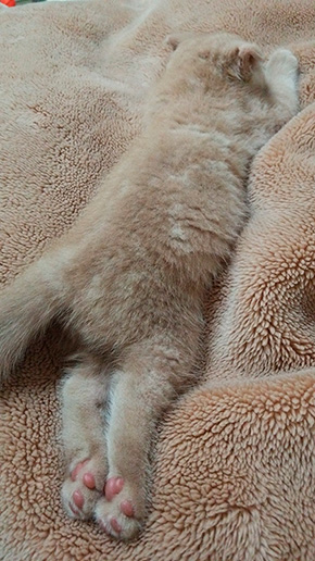 ひかりあんどーさん