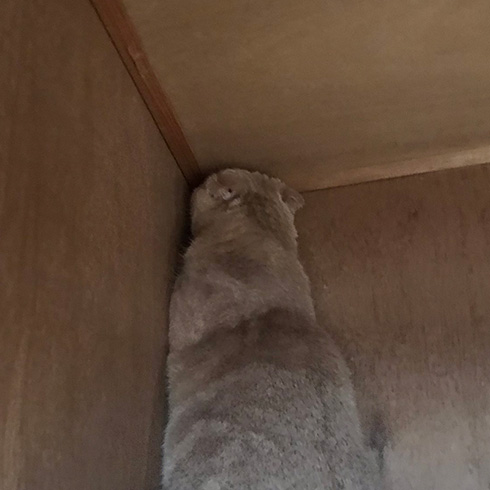 ひかりあんどーさん