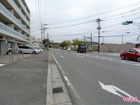 険道とは思えない快走路