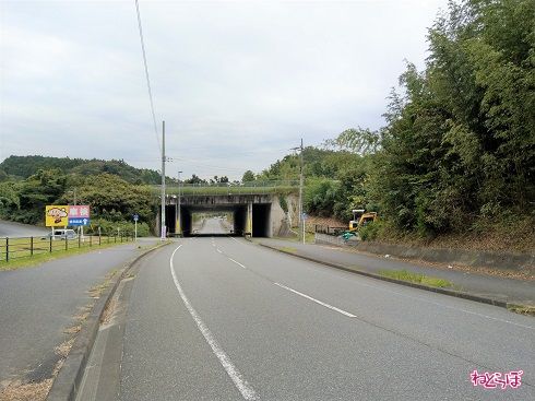 館山自動車道をくぐる