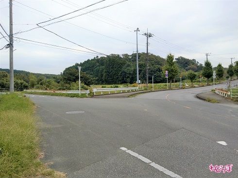 左に見える「枝道」こそが県道269号