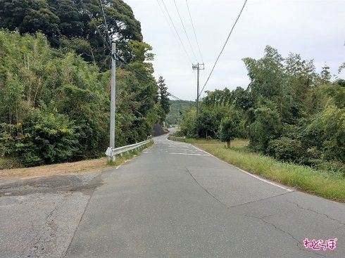 この程度では「険道」とは言えない