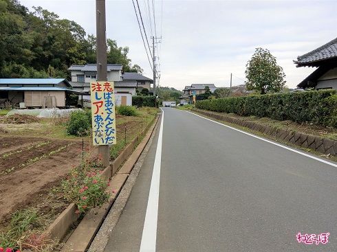 集落の中を通る