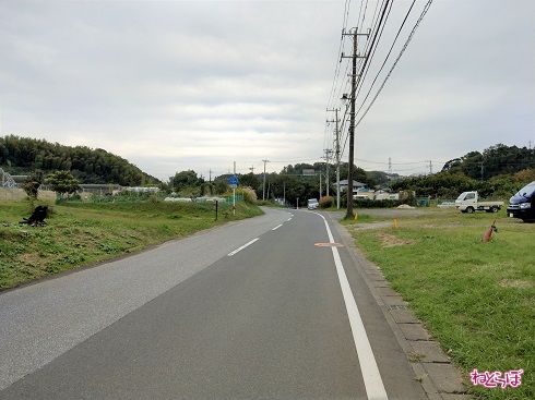 快走路が続く