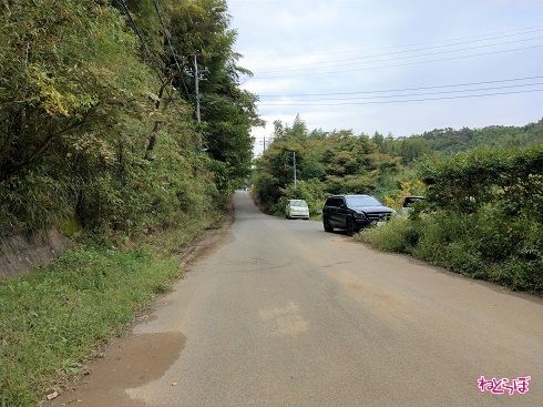 しかし、だんだん……