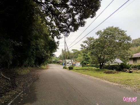 家も少なくなり……