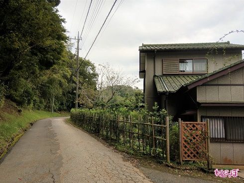 完全なる1車線に