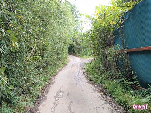 草木を避けると、人間の行き違いも怪しい