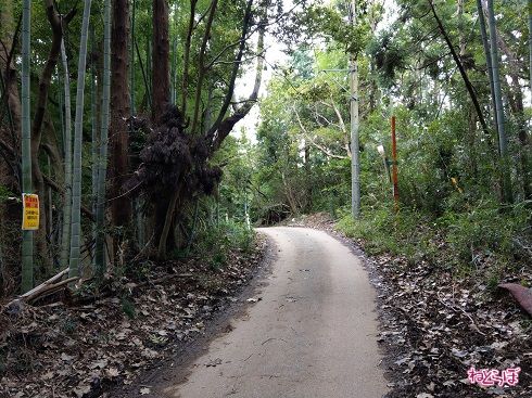 ゆるやかに登っていきます