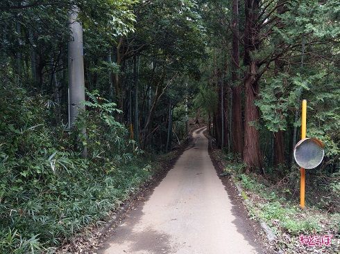 道の両側が崖になっています