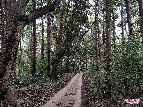 君津の市街地から直線距離で5kmとは思えない道