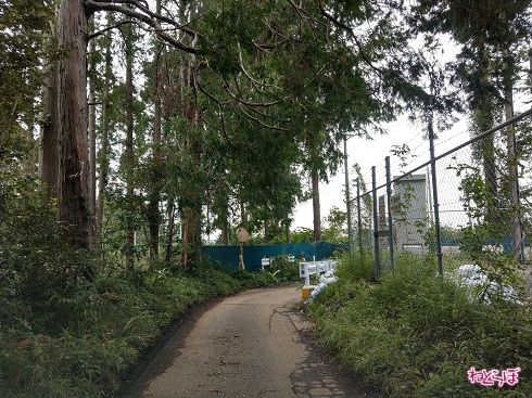 接合井を過ぎると道路は南へ向かう