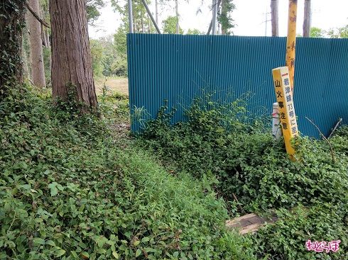 もしかしたらこれがそうなのかもしれない