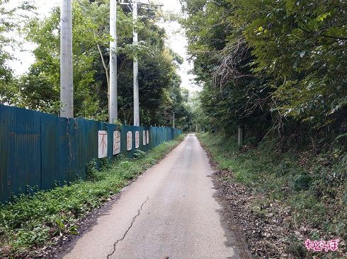 トタン板がしばらく続く