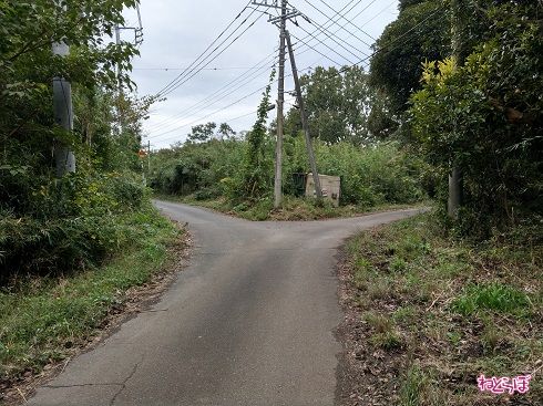 県道269号、正解は右