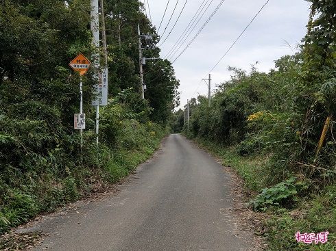 左側は林道の「鎌倉4号線」