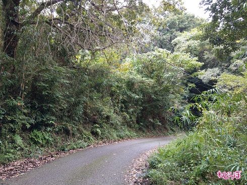 見通しが極めて悪いため、注意が必要です