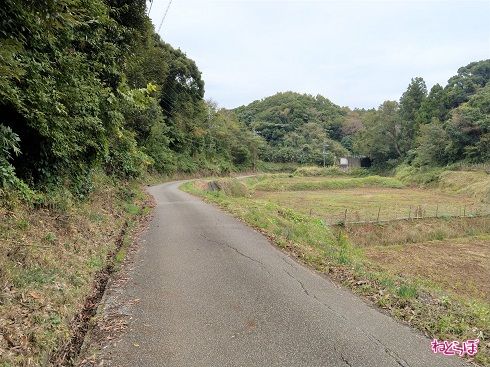 奥には第4接合井が