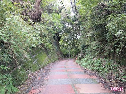 切り通しの中を下りながら進みます