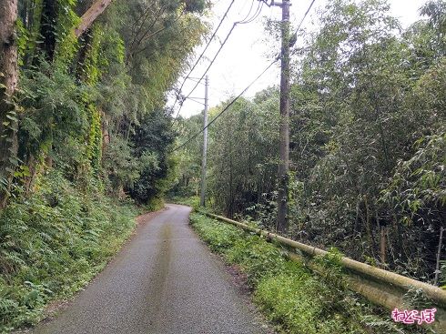 舗装が戻るともう少し