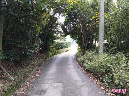 草木のアーチがゴール