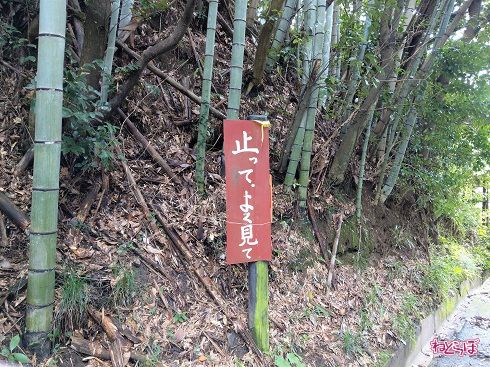 その手前にはこんな注意が