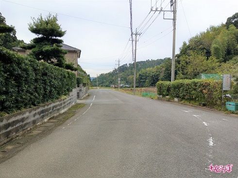ここからは2車線に