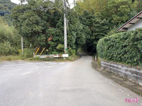 君津市側から見たところ。急激に狭くなっている