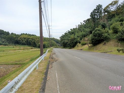 道路の右側には1車線分の路肩が