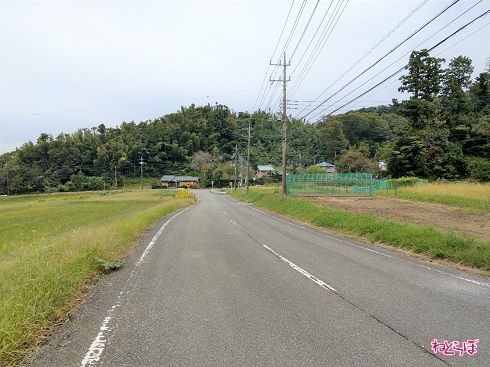 信号のない交差点にぶつかり、道路は終わる