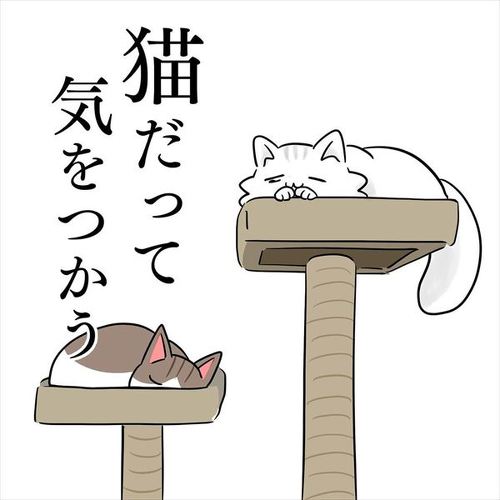 猫漫画