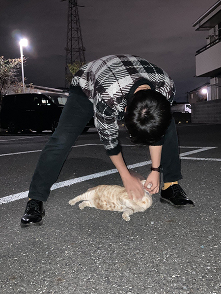人と猫ちゃん
