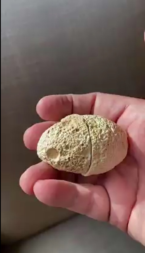 「ホントにおいらみたいだ」　ブラジルでどう見てもクッキーモンスターな石が発見される