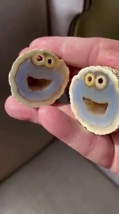 「ホントにおいらみたいだ」　ブラジルでどう見てもクッキーモンスターな石が発見される