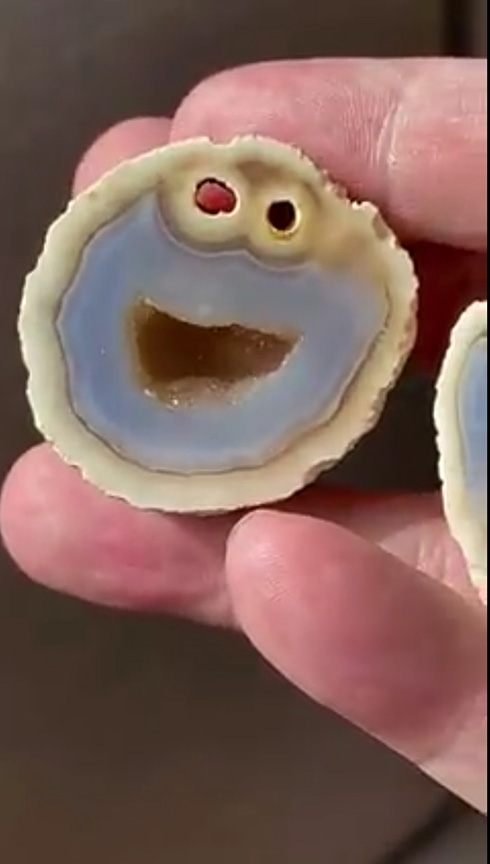 「ホントにおいらみたいだ」　ブラジルでどう見てもクッキーモンスターな石が発見される