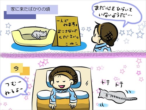 夜の儀式がある猫ちゃん