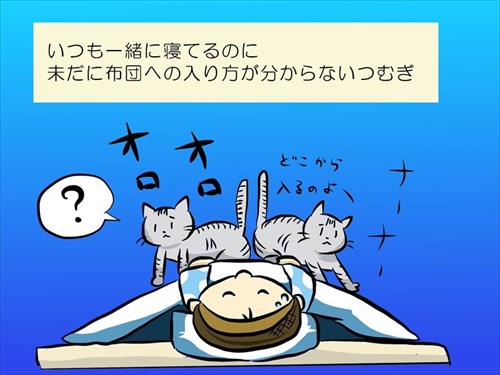 夜の儀式がある猫ちゃん