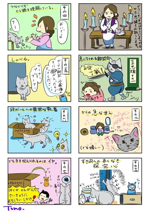 夜の儀式がある猫ちゃん