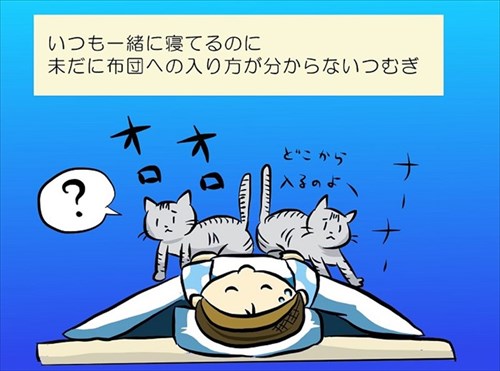 夜の儀式がある猫ちゃん
