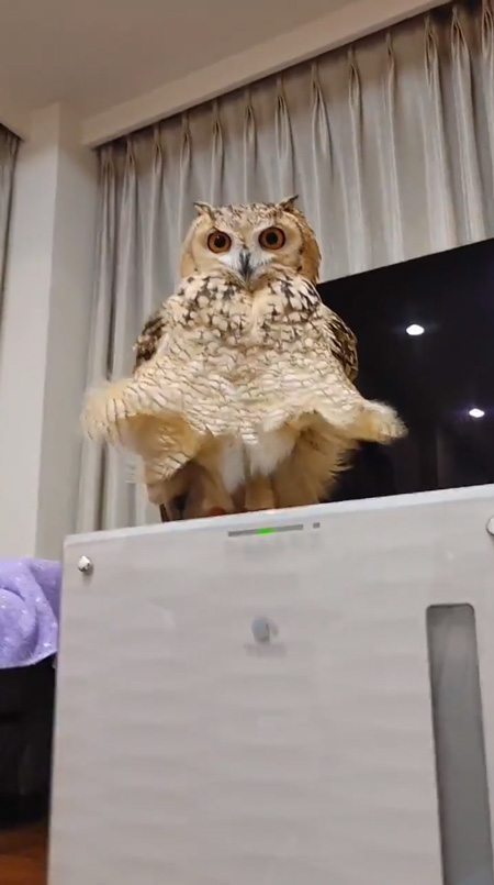 下からアングルかむちゃん