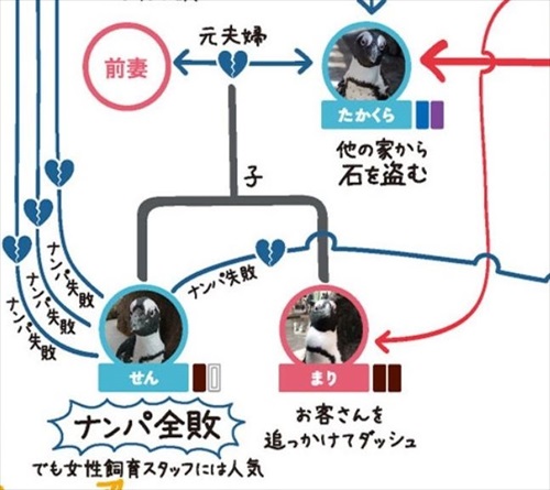 ペンギン相関図