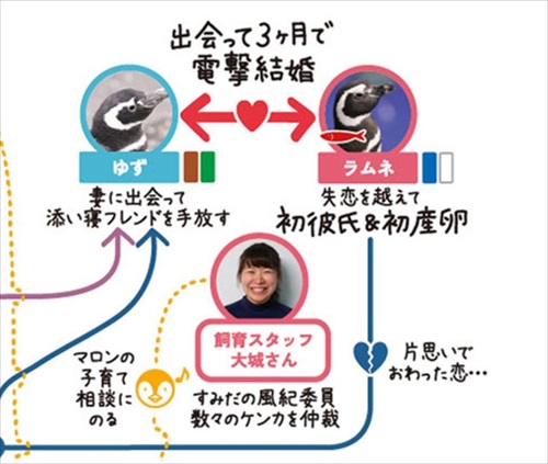 ペンギン相関図