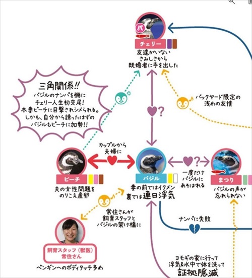 ペンギン相関図