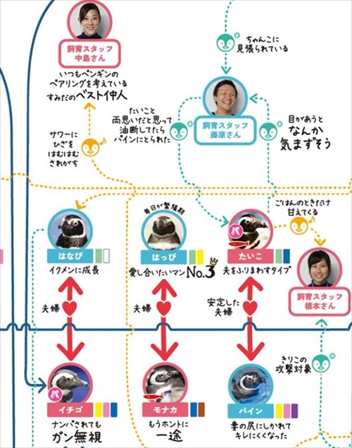 ペンギン相関図