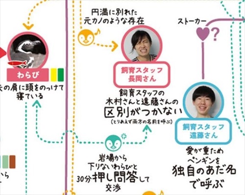 ペンギン相関図