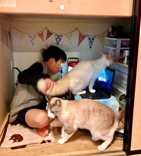 初めて オンライン授業 小学生 波乱の予感 猫 乱入