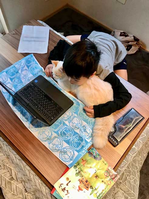 初めて オンライン授業 小学生 波乱の予感 猫 乱入