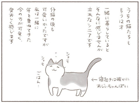 【おじいちゃんになっても】