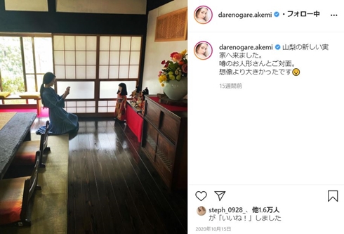 ダレノガレ明美 実家 母 家 モデルルーム