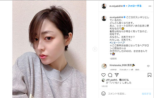 松浦雅 芸能界引退 トリマー